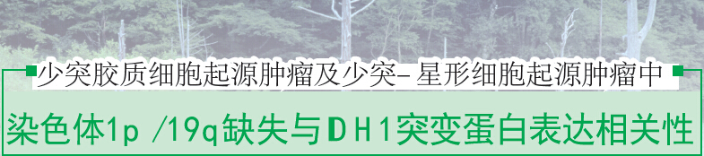 少突膠質(zhì)細胞起源腫瘤及少突-星形細胞起源腫瘤中 染色體1p /19q缺失與IDH1突變蛋白表達相關(guān)性