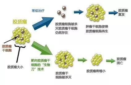 1536138976994753.jpg 微信圖片_20180905171517.jpg